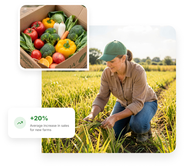 Local farmer harvesting fresh produce
