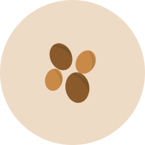 Nuts & Seeds